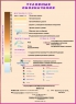 3.Сочи (Адлер, Сочи, Хоста, Лоо, Лазаревское, Красная Поляна) 